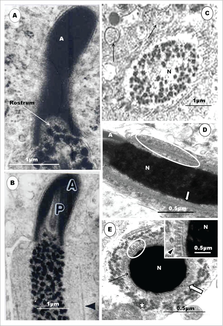 Figure 9.