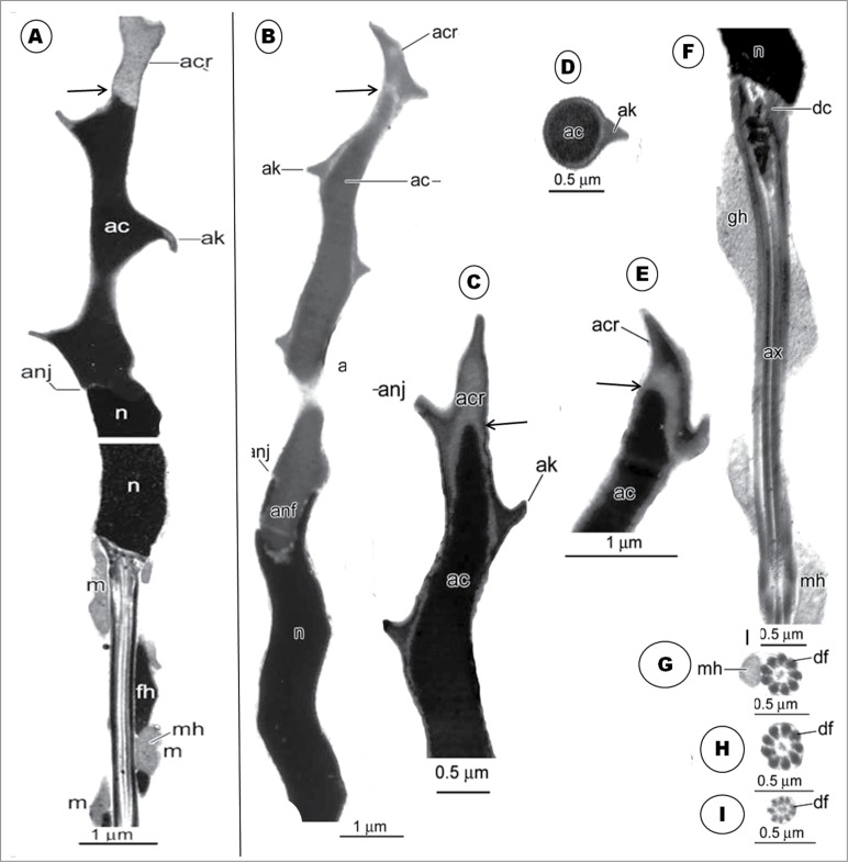 Figure 22.