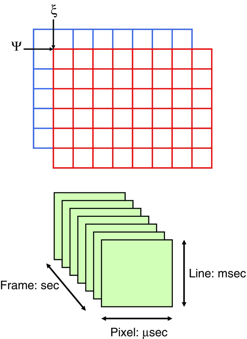 Fig. 7