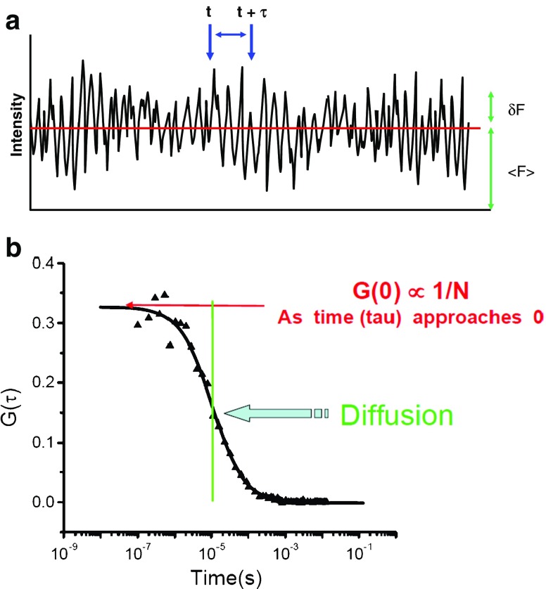 Fig. 2