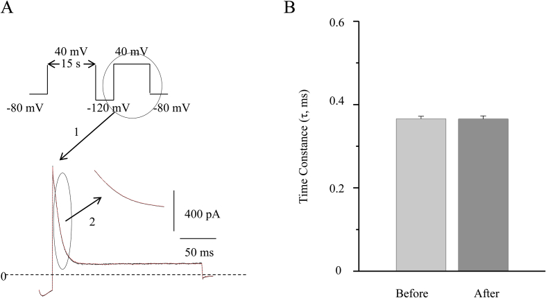 Fig. 6