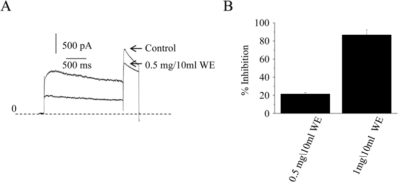 Fig. 1