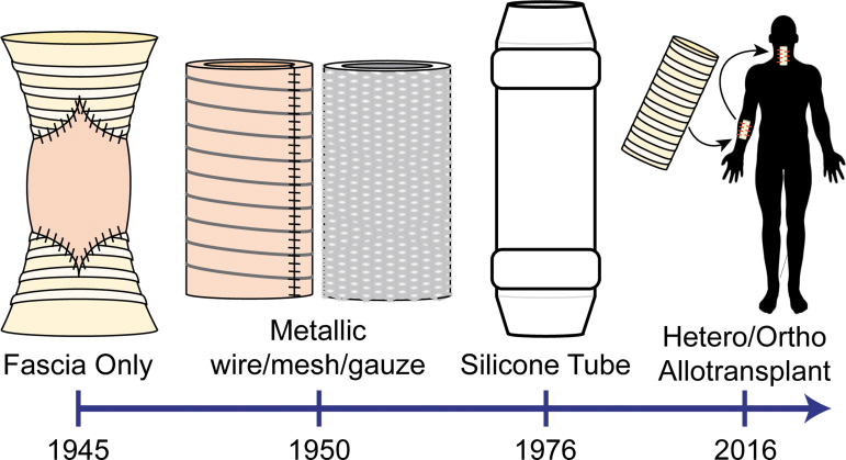 FIG. 1.