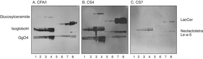 FIG. 7.