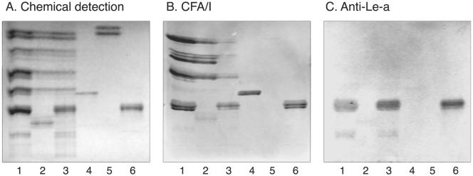 FIG. 8.