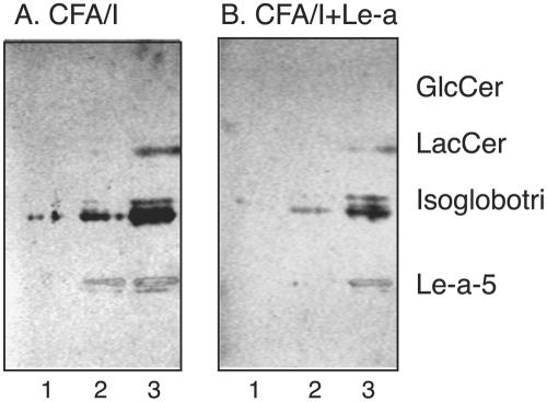 FIG. 9.