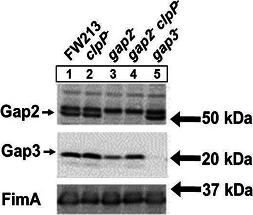 Fig 9