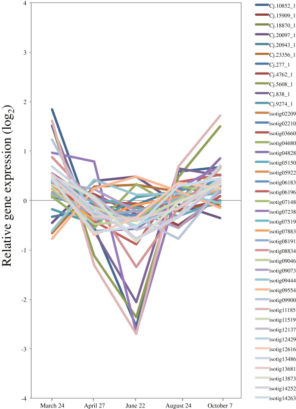 Figure 19