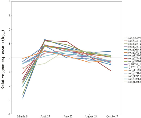 Figure 6