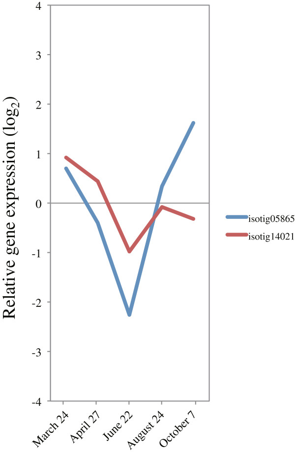 Figure 17