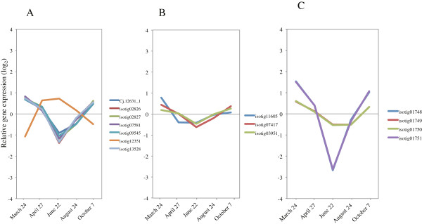 Figure 14