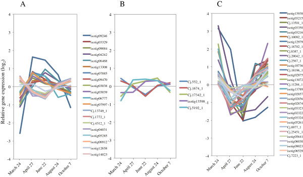 Figure 16