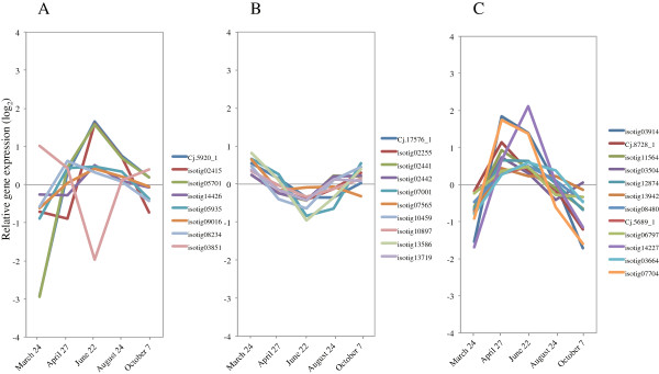 Figure 15