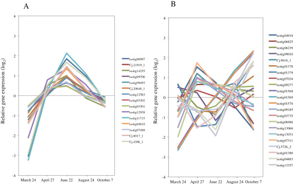 Figure 13