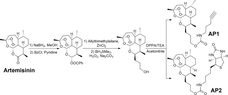 Scheme 1