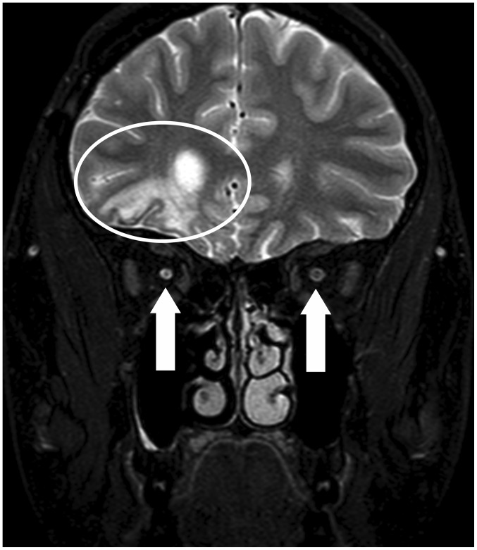 Figure 6.