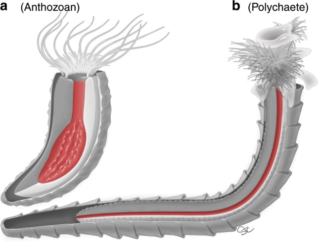 Fig. 8