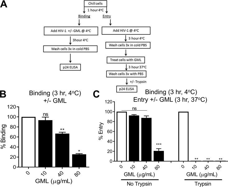 FIG 2