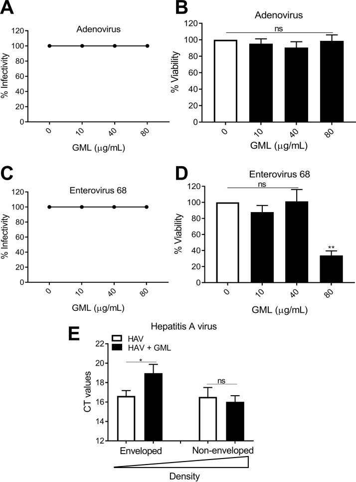 FIG 6