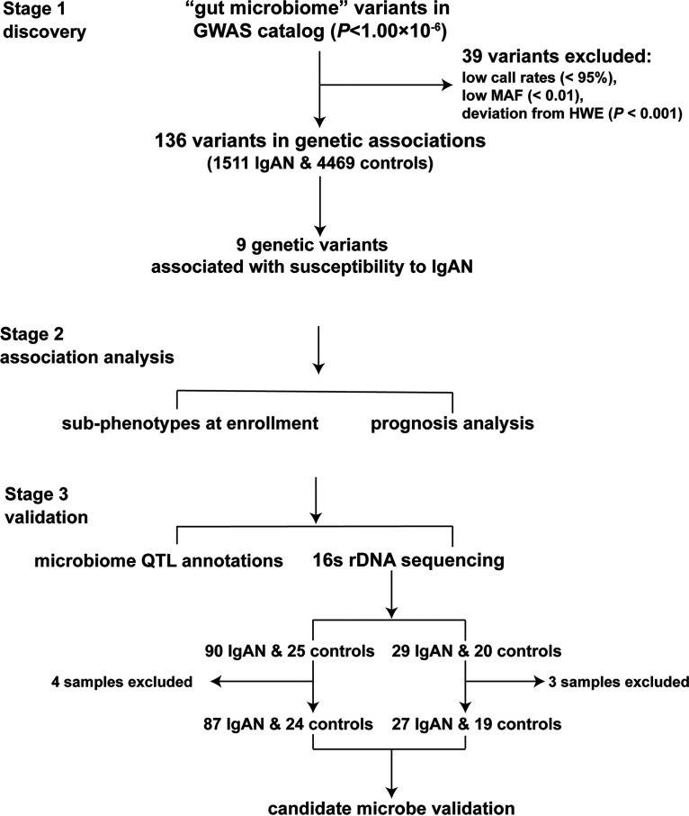 FIG 1