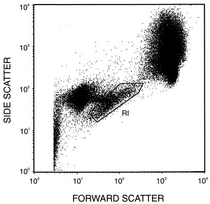 FIG. 1