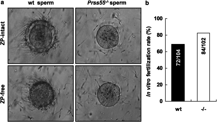 Fig. 4