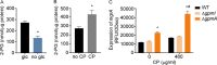 FIG 6