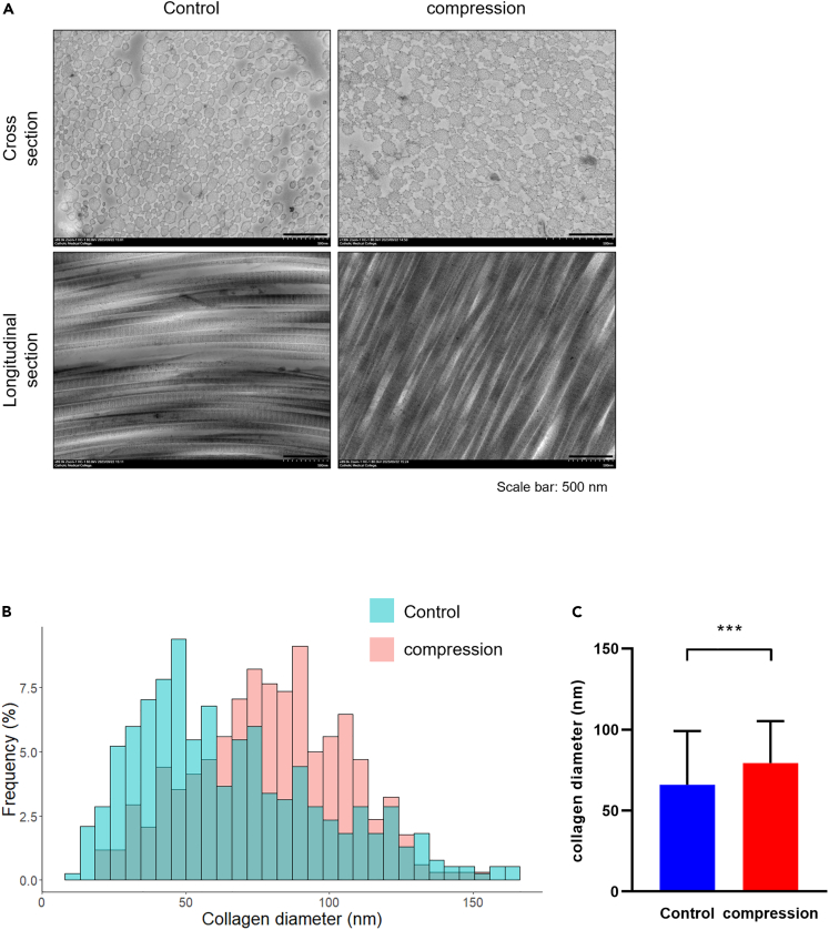 Figure 5