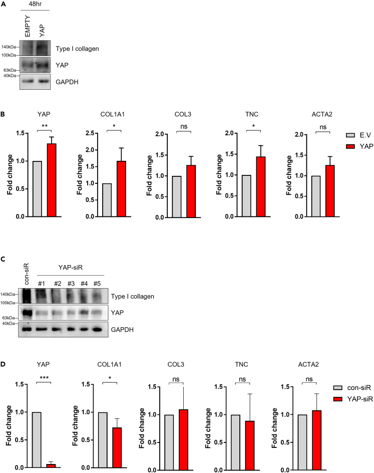 Figure 4