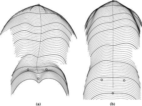 Fig. 2