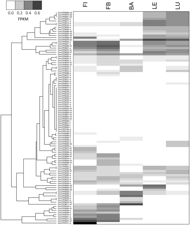 Fig. 6