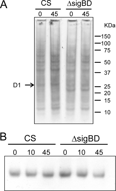 FIG. 7.