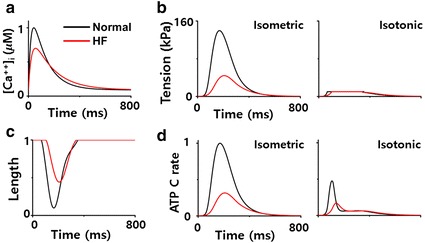 Fig. 2