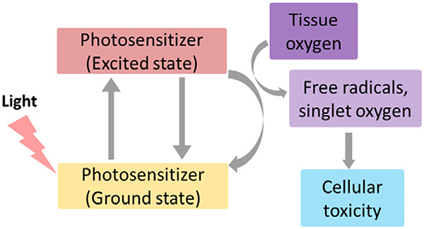 Fig. 15.