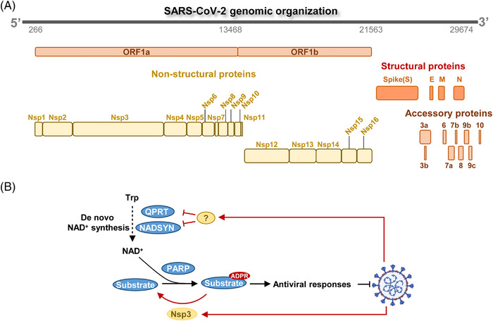 FIGURE 3