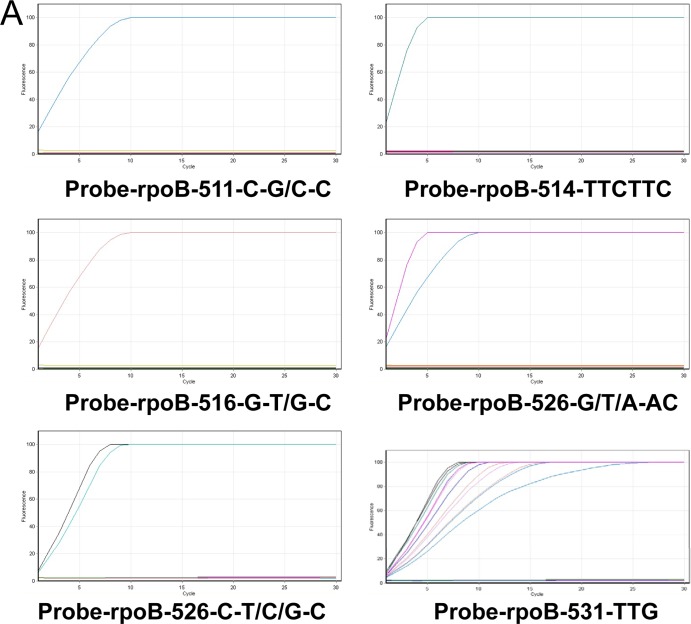 FIG 2