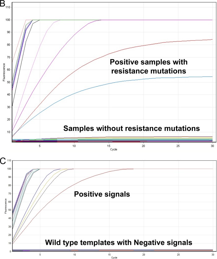 FIG 2