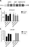 FIG 2