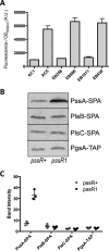 FIG 1