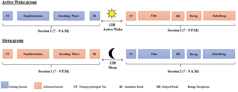 FIGURE 1