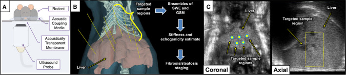 FIG. 1