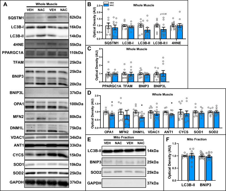 Fig. 6