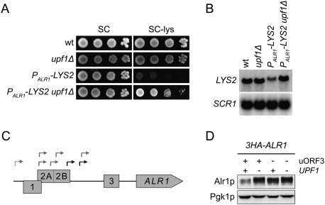 Figure 4.