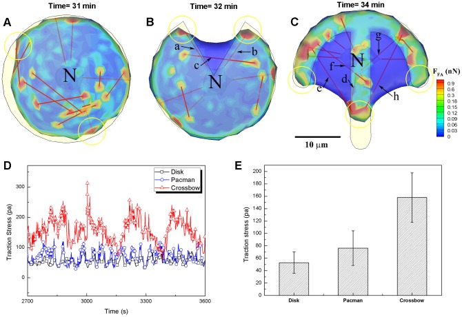 Figure 4