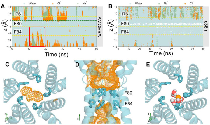 Figure 4: