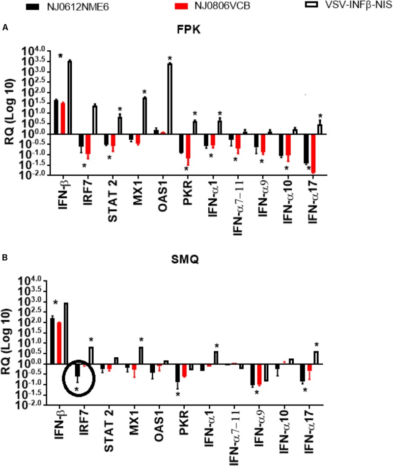 FIGURE 5