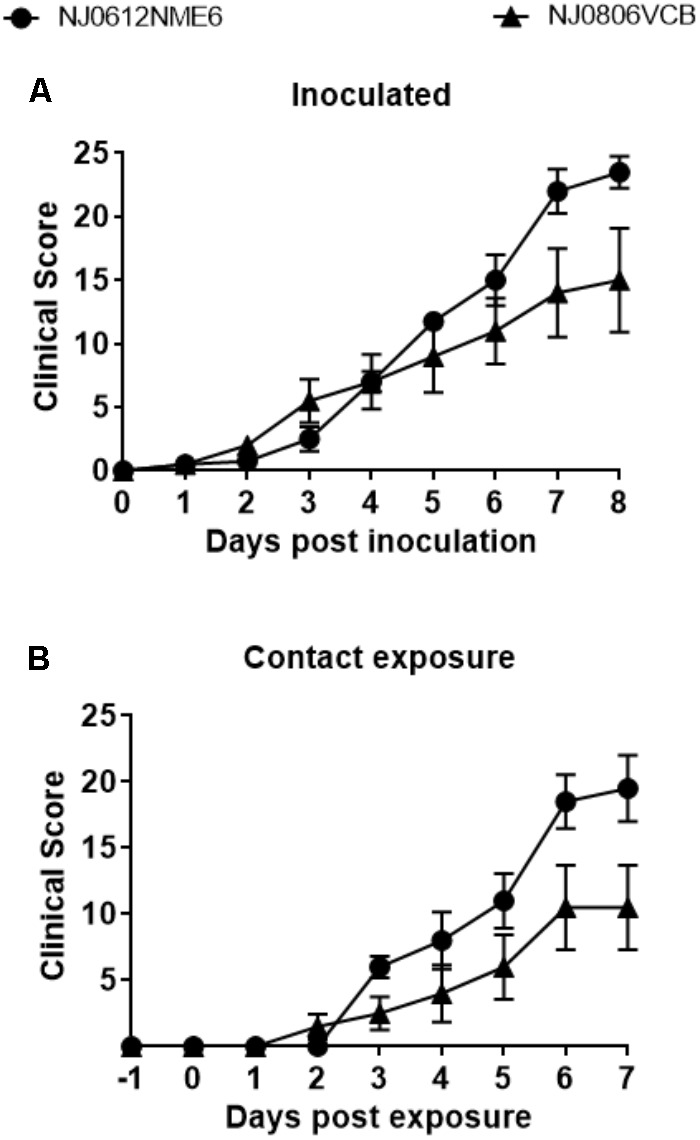FIGURE 7