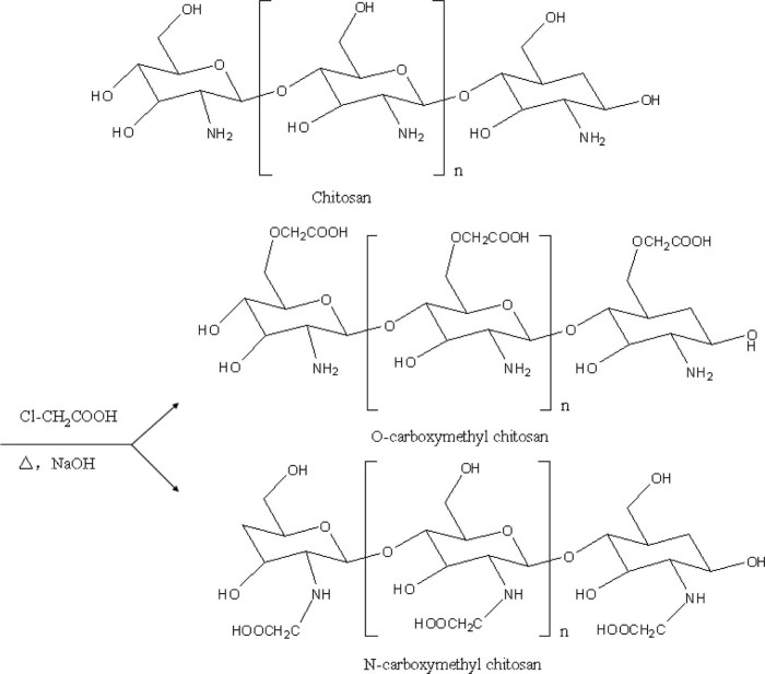 Fig. 1