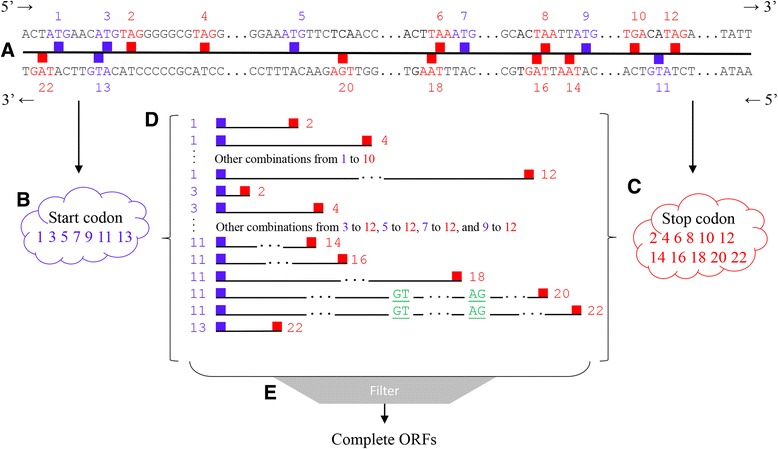 Fig. 3