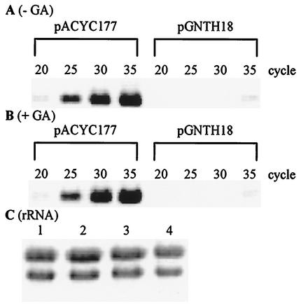 FIG. 5.